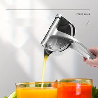Heavy-Duty Fruit Juicer